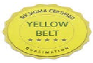 Yellow Belt